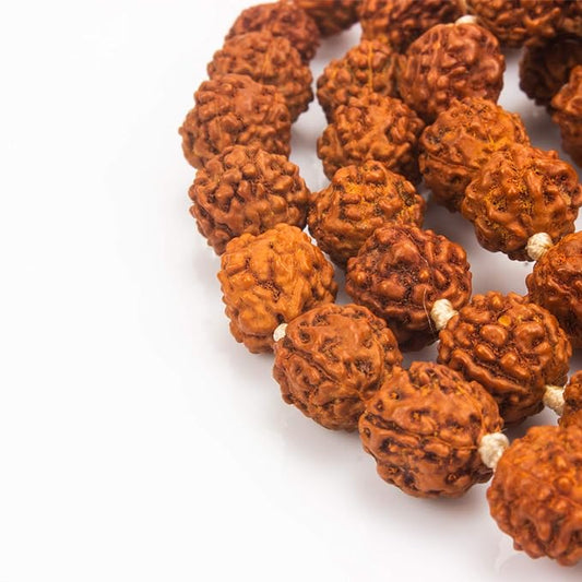 Klassic 5 Mukhi Rudraksha Jaap Mala | 108 Beads for Pooja & Meditation iCraft by Eagle