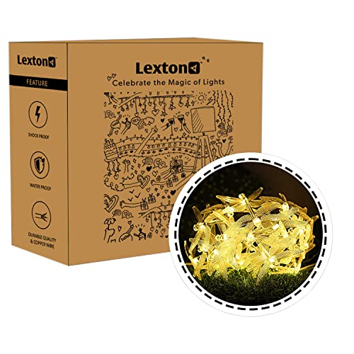 Lexton Dragonfly LED Fairy String Lights – 16 Bulbs, Warm White