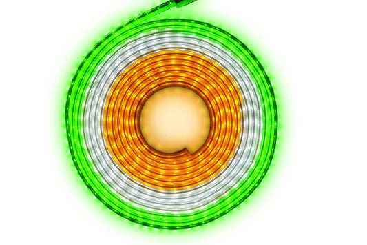 Lexton Tri-Glow 12m Indian Tricolor Rope Light – Plug & Play iCraft by Eagle