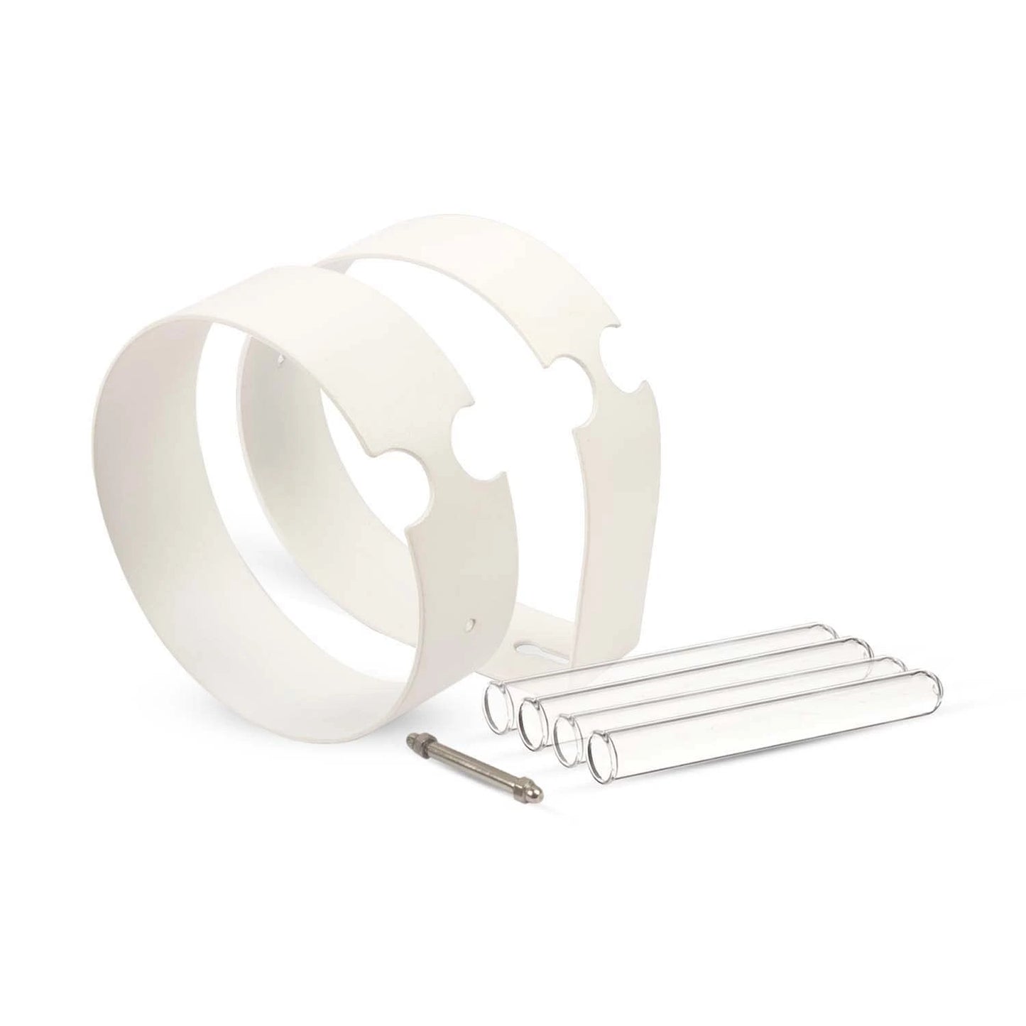 iCraft Wall Mounted Metal Ring Test Tube Planters