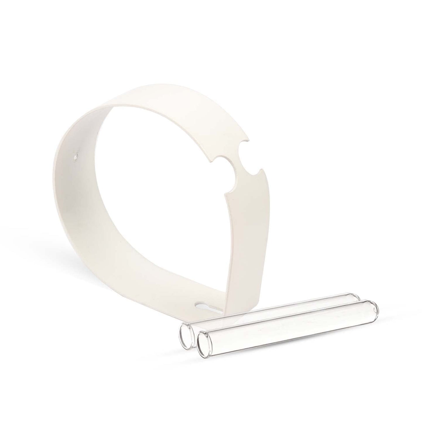 iCraft Wall Mounted Metal Ring and Two Test Tube Planters iCraft by Eagle