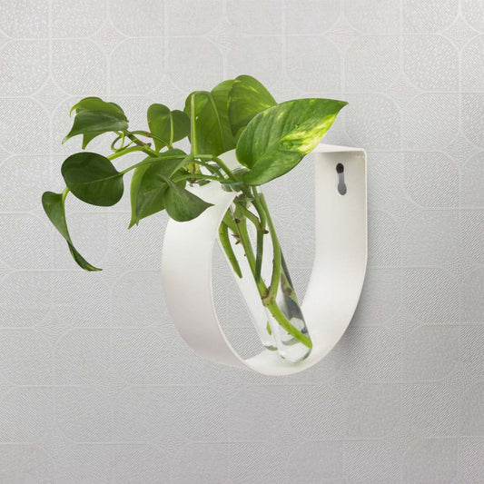 iCraft Wall Mounted Metal Ring and Two Test Tube Planters iCraft by Eagle