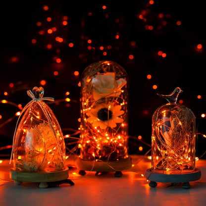 Lexton 10M Copper LED Fairy String Lights – Orange