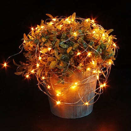 Lexton 10M Copper LED Fairy String Lights – Orange