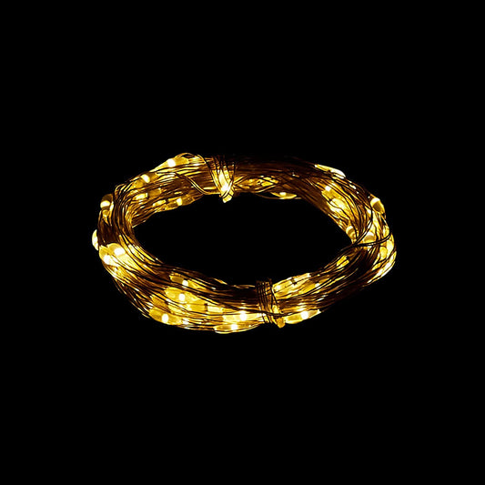 Lexton LED Lights, USB-Operated, Corded Electric,10 M (Warm White, 100 LEDs)