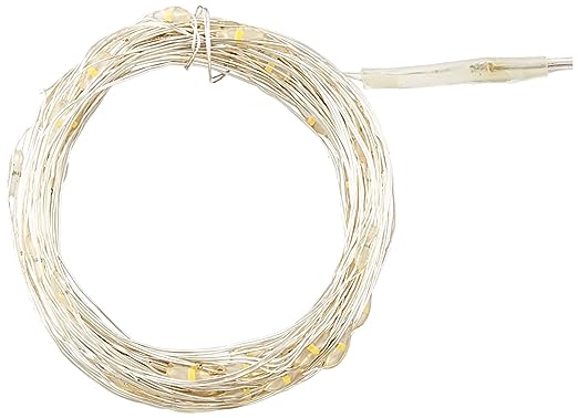 Lexton LED Lights, USB-Operated, Corded Electric,10 M (Warm White, 100 LEDs)