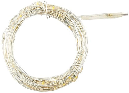 Lexton LED Lights, USB-Operated, Corded Electric,10 M (Warm White, 100 LEDs)