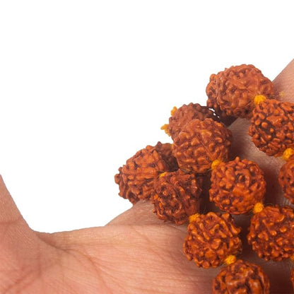 Klassic 5 Mukhi Rudraksha Jaap Mala | 108 Beads for Pooja & Meditation