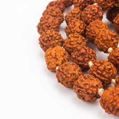 Klassic 5 Mukhi Rudraksha Jaap Mala | 108 Beads for Pooja & Meditation