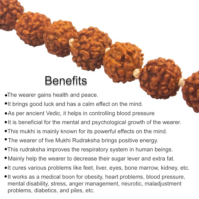 
                  
                    Klassic 5 Mukhi Rudraksha Jaap Mala 108 Beads for Pooja/Astrology/Jewellery (Brown, Pack of 1), Standard Size
                  
                