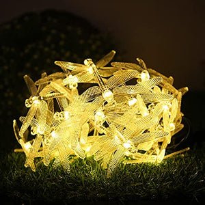 
                  
                    Lexton Dragonfly 16 led 3 Meter Fairy String Light Plug-in LED Fairy String Lights | Warm White | Decorative Lights | Battery Sourced | for Diwali, Bedroom, Birthday, Wedding, Home Decoration
                  
                