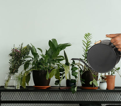Klassic 2L Metal Watering Can – Black, Indoor & Outdoor Garden Pot