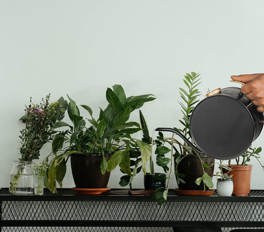 Klassic 2L Metal Watering Can – Black, Indoor & Outdoor Garden Pot