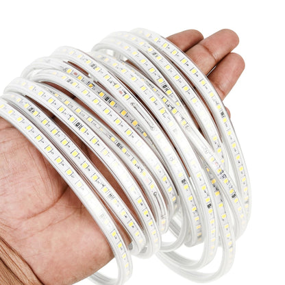 Lexton 10m 1200 LED Rope Light – Waterproof, Flexible,