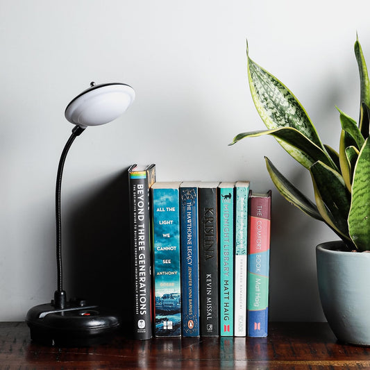 Lexton Black Desk Lamp – Study & Reading Light