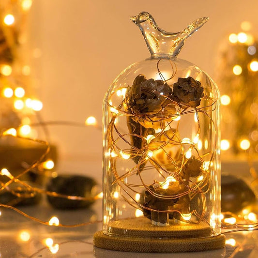 Lexton 3M Copper String Fairy Lights – Warm White
