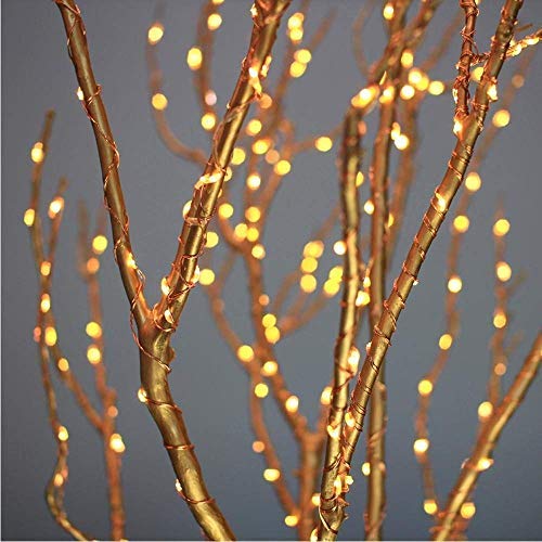 
                  
                    Lexton 3 M 30 Led Lights, Battery Operated with 8 Functions + Remote, Waterproof Battery Box Copper String Led Lights (Warm White)
                  
                