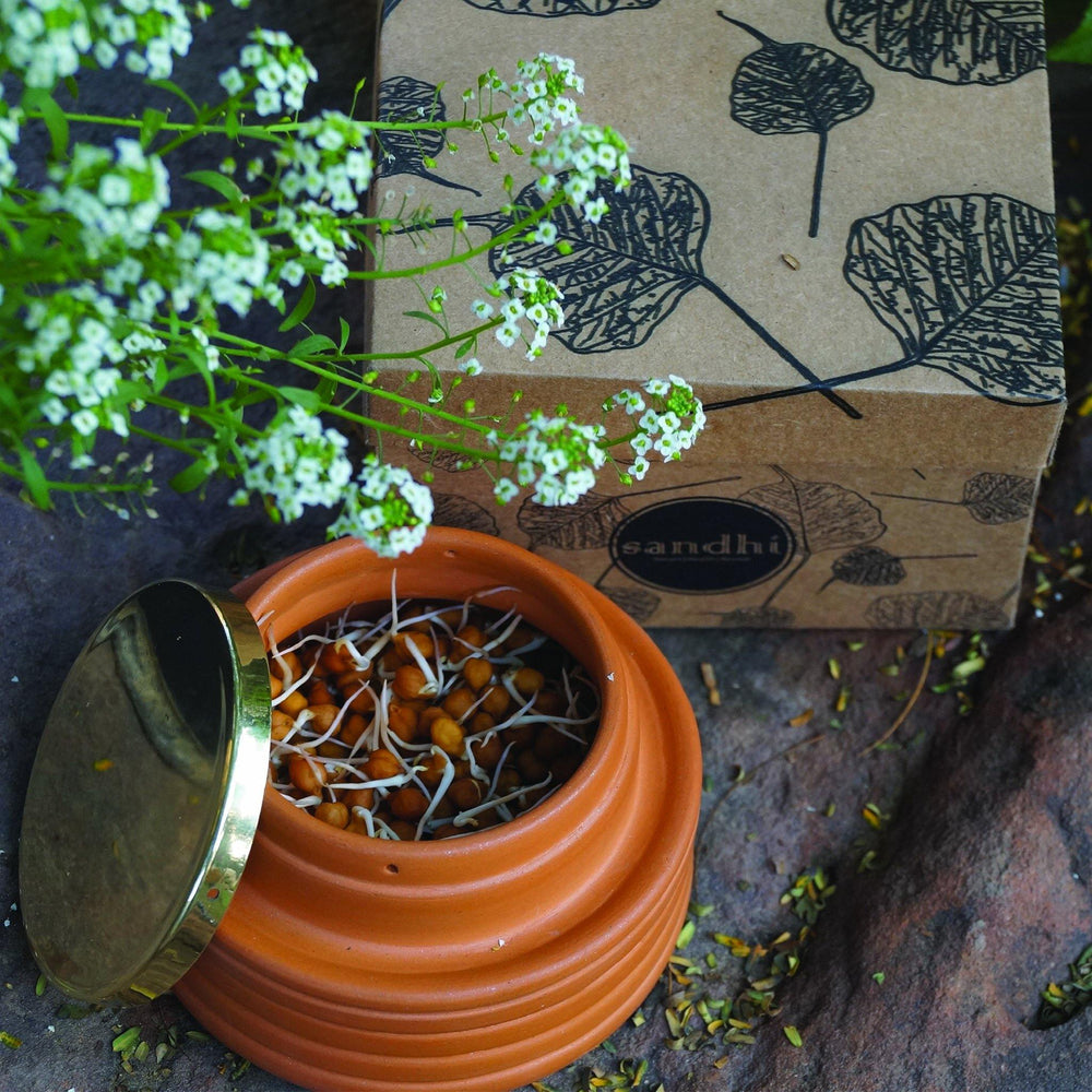Handcrafted Terracotta Sprout Make